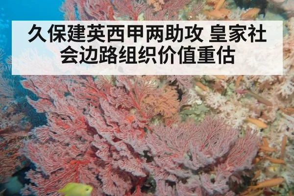 久保建英西甲两助攻 皇家社会边路组织价值重估